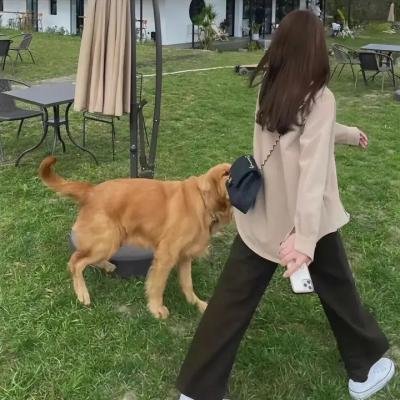 马兰谣
